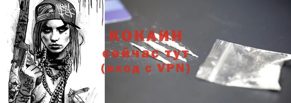 крисы Заводоуковск