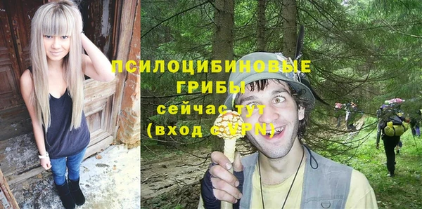 гидра Заволжье