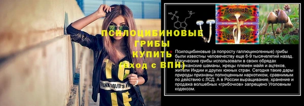 крисы Заводоуковск
